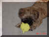 DSC00101_small.JPG
