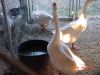 DSC00031.JPG