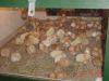 DSC00034.JPG