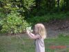DSC00041.JPG
