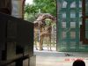 DSC00086.JPG