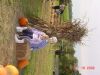 DSC00374.JPG