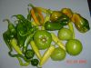 DSC00377.JPG