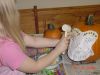 DSC00384.JPG
