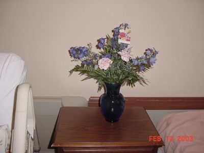 DSC00534.JPG