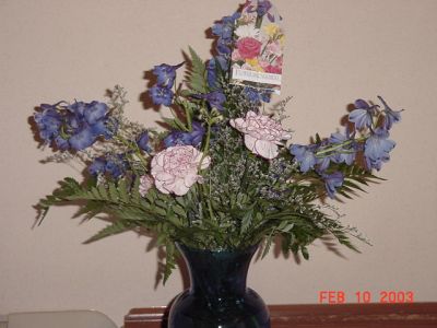 DSC00535.JPG