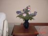 DSC00534.JPG