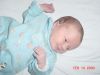 DSC00556.JPG
