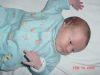 DSC00557.JPG