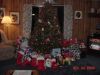 DSC00609.JPG