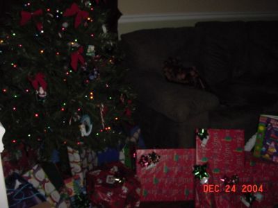 Christmas 2004 033.jpg