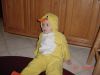 DSC00734.JPG