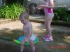 DSC00781.JPG