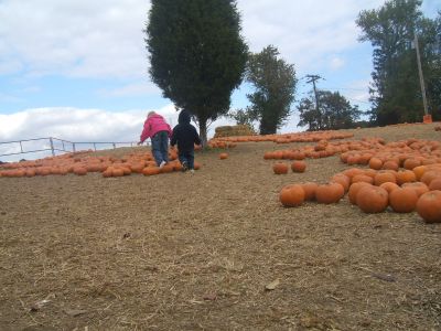 DSCF0585.JPG