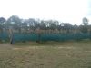 DSCF0568.JPG