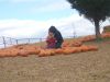 DSCF0586.JPG
