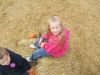 DSCF0590.JPG