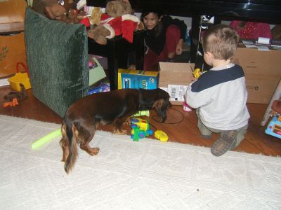 DSCF0870.JPG