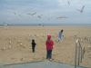 DSCF0889.JPG