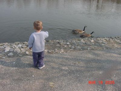 Braydon with Ducks 3.JPG