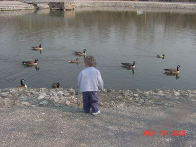 Braydon with Ducks.JPG