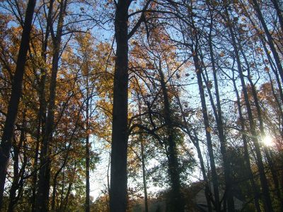 DSCF0653.JPG