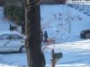 DSCF0784.JPG