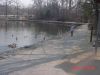 DSC00960.JPG