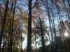 DSCF0653.JPG