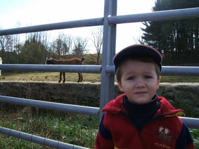 DSCF2042.JPG