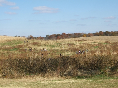 DSCF2049.JPG