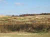 DSCF2049.JPG