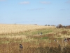 DSCF2050.JPG