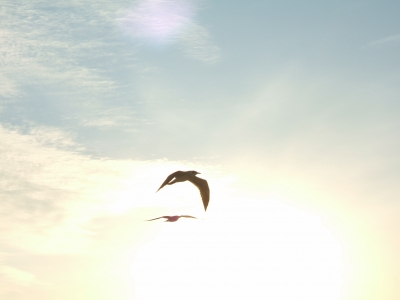 DSCF2173.JPG