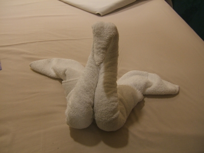 DSCF2201.JPG