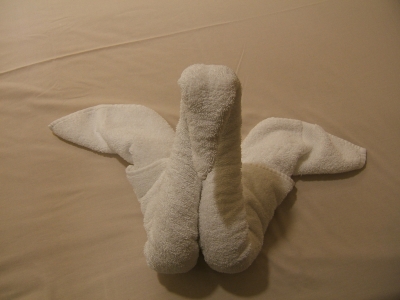 DSCF2202.JPG