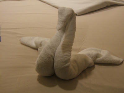 DSCF2203.JPG