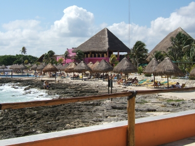 DSCF2229.JPG
