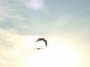 DSCF2173.JPG