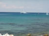 DSCF2207.JPG