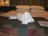 DSCF2213.JPG