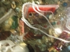 DSCF2283.JPG