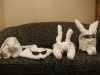 DSCF2289.JPG