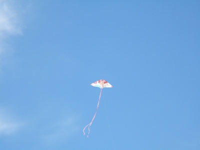 DSCF1432.JPG