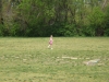 DSCF1411.JPG