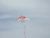 DSCF1419.JPG