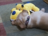 DSCF2409.JPG