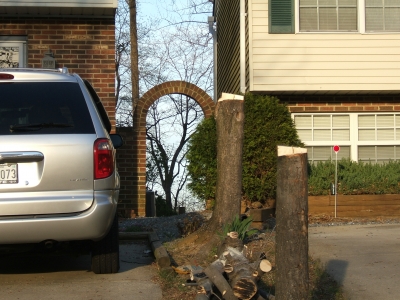 After - No trees on right
