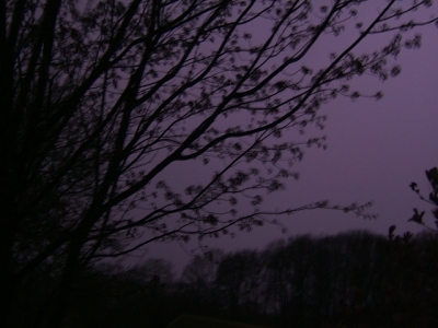 Dustin's storm
Dustin taking over 300 pictures to capture lightning in the pitch black

