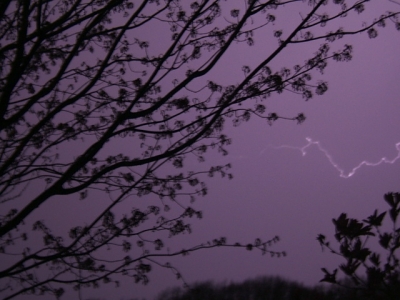 Dustin captures lightning
Dustin took over 300 fast shutter speed pictures to capture this one bolt of lightning!
